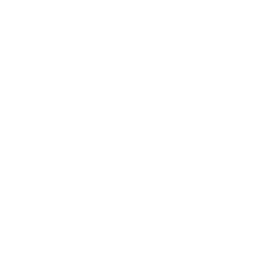 Enchiladas und Burritos